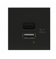 Donel USB зарядное устройство, 4.2A , Type A + C, 2 мод., черн. матовая (45х45мм)
