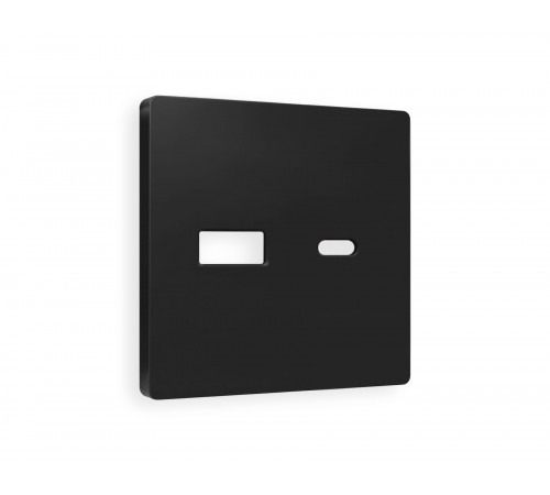 Лицевая панель для розетки 2USB тип A+C Ambrella Volt ALFA, Черный матовый