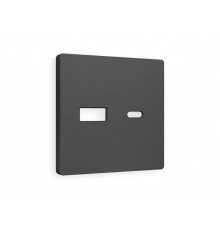 Лицевая панель для розетки 2USB тип A+C Ambrella Volt ALFA, Графит Мягкое касание