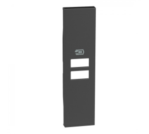 Лицевая панель Living Now, USB type-C 5V, USB type-A 5V, двойная, цвет - черный