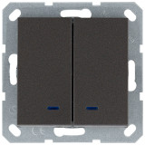 Jasmart G Мокко Выключатель 2-кл с подсветкой 10A 250V~