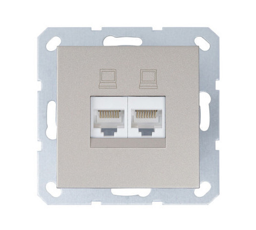 Jasmart G Шампань Розетка RJ45 2-ая