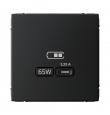 USB РОЗЕТКА тип-С 65Вт высокоскор.заряд. QC, PD, механизм Systeme Electric ArtGallery, Карбон