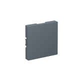 ЗАГЛУШКА без суппорта для многопостовых рамок Systeme Electric AtlasDesign, Грифель