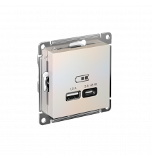 USB РОЗЕТКА A + тип-C 45Вт высокоскор.заряд. QC, PD, механизм Systeme Electric AtlasDesign, Жемчуг