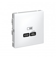 USB РОЗЕТКА тип-С 65Вт высокоскор.заряд. QC, PD, механизм Systeme Electric ArtGallery, Лотос