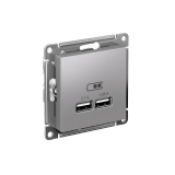 USB РОЗЕТКА A+A, 5В/2,1А, 2х5В/1,05А, механизм Systeme Electric AtlasDesign, Алюминий