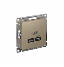 USB РОЗЕТКА тип-С 65Вт высокоскор.заряд. QC, PD, механизм Systeme Electric AtlasDesign, Шампань