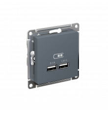 USB РОЗЕТКА A+A, 5В/2,1А, 2х5В/1,05А, механизм Systeme Electric AtlasDesign, Грифель