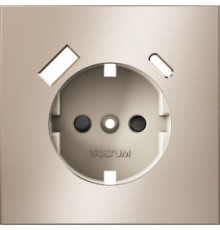Накладка электрической розетки с USB-зарядкой type A+C S70 Metal, цвет - платина металл