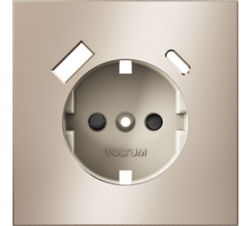 Накладка электрической розетки с USB-зарядкой type A+C S70 Metal, цвет - платина металл